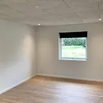 5 Star In *