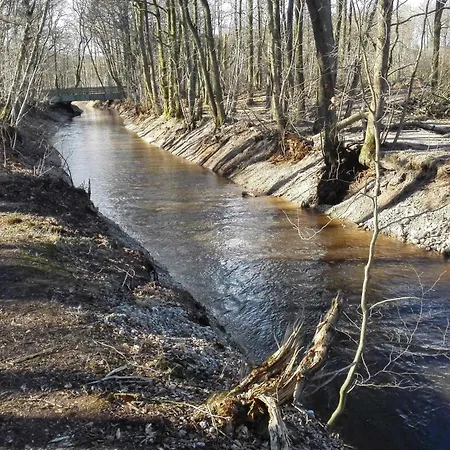 5 Star In Semesterbostad *