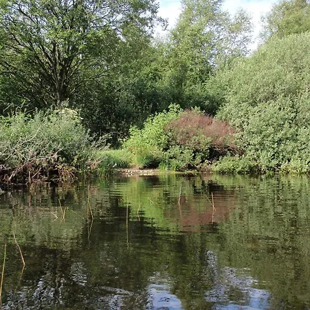 Semesterbostad 5 Star In